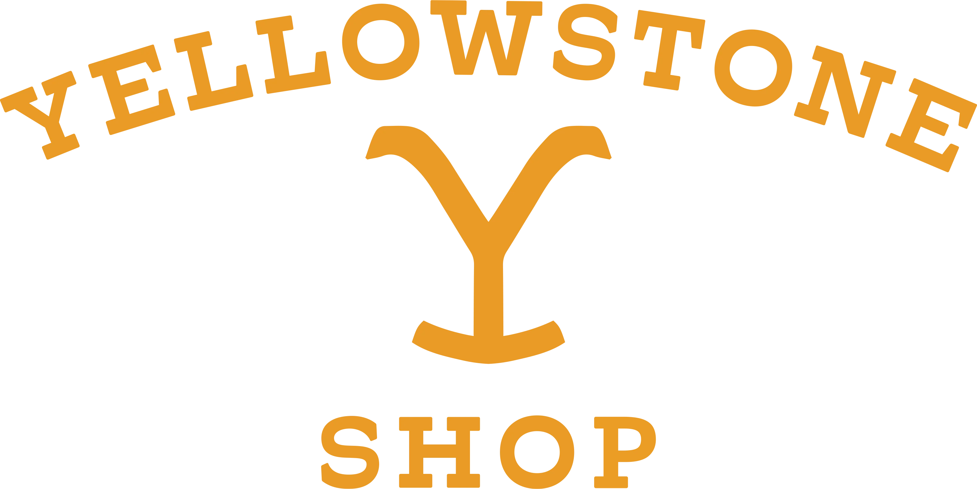 Yellowstone TV Store